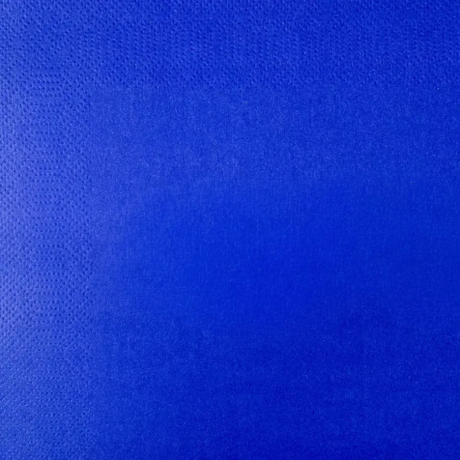 Serwetki papierowe DUKA MONONORD 33x33 cm 20 szt. niebieskie